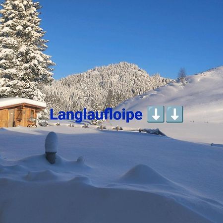 Haus Jessica Incl National Park Sommercard Mittersill Exteriör bild