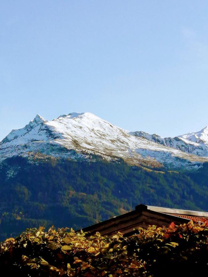 Haus Jessica Incl National Park Sommercard Mittersill Exteriör bild