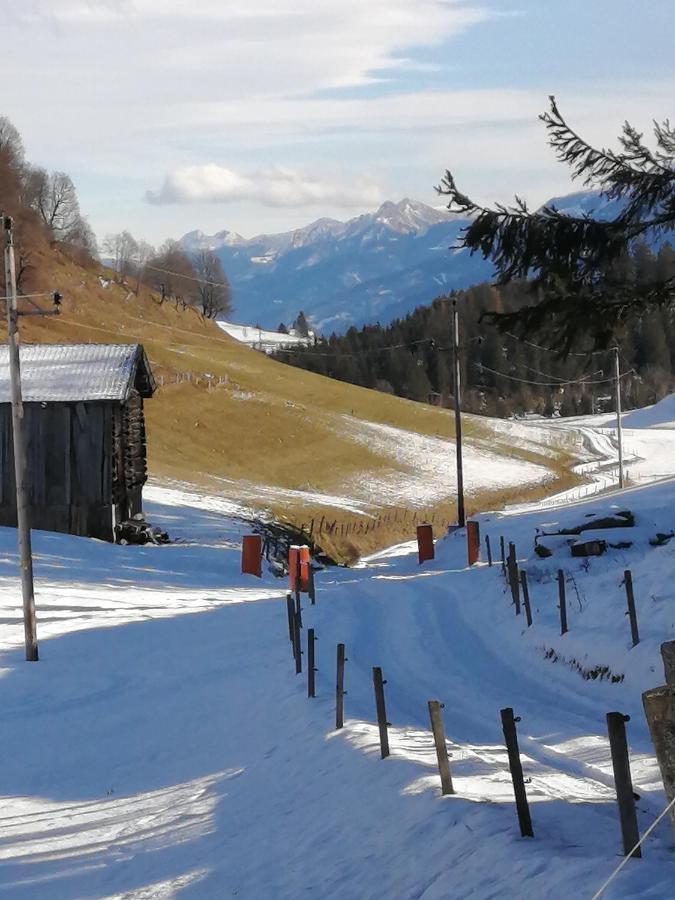 Haus Jessica Incl National Park Sommercard Mittersill Exteriör bild