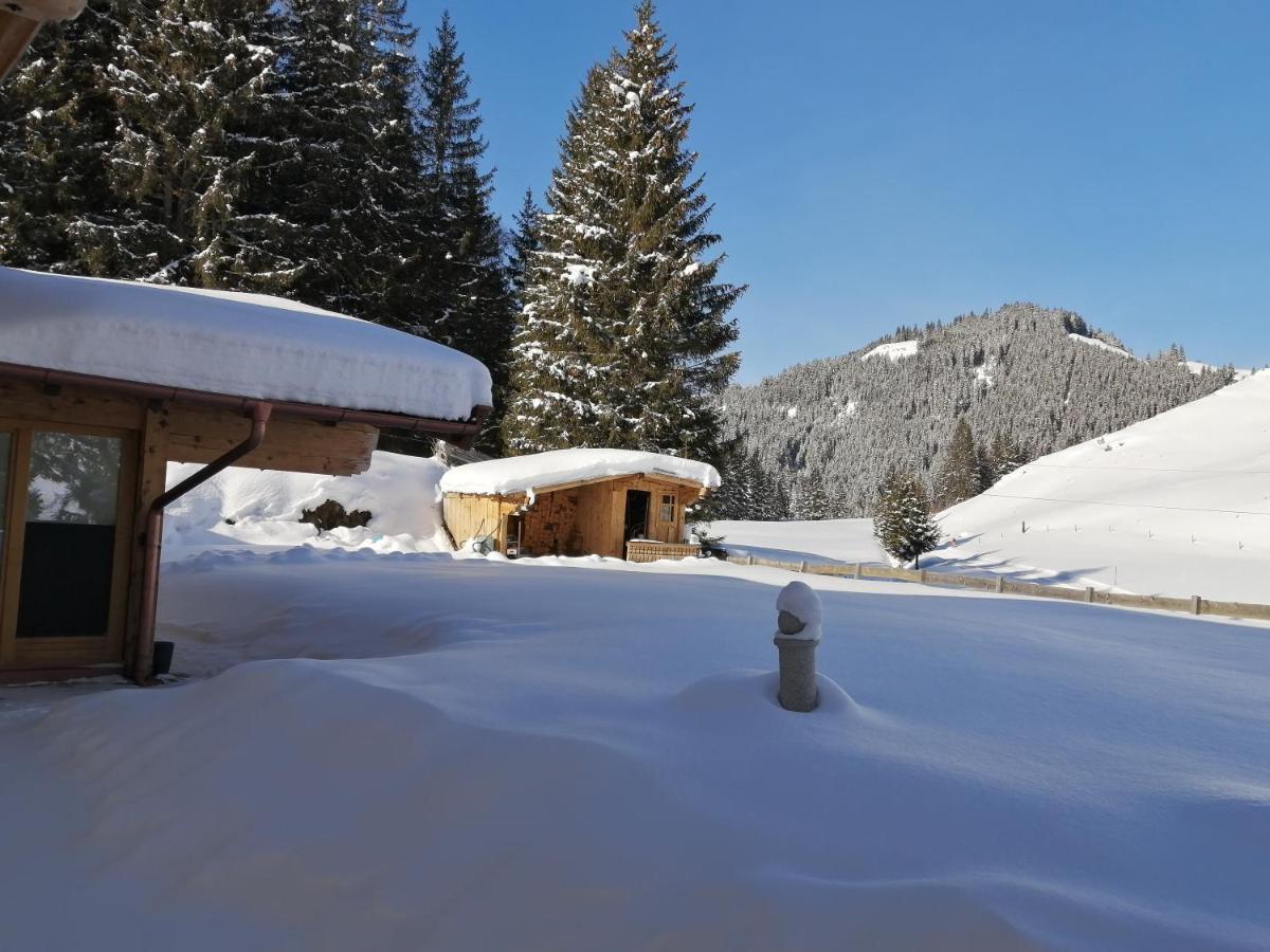 Haus Jessica Incl National Park Sommercard Mittersill Exteriör bild
