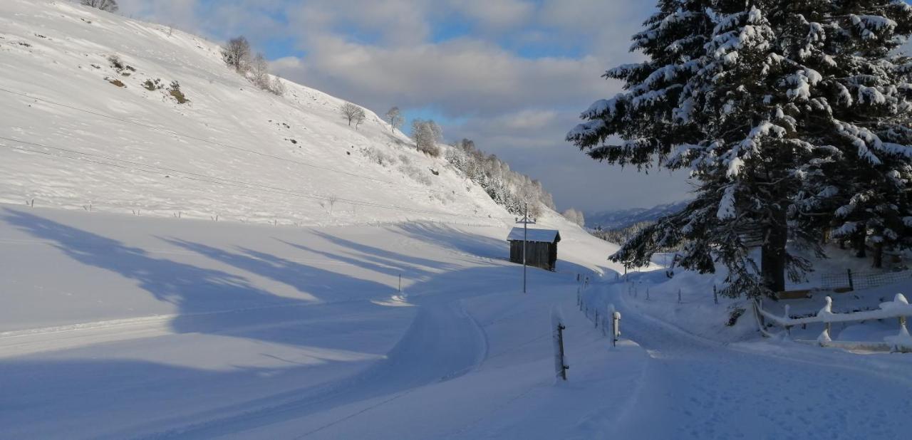 Haus Jessica Incl National Park Sommercard Mittersill Exteriör bild