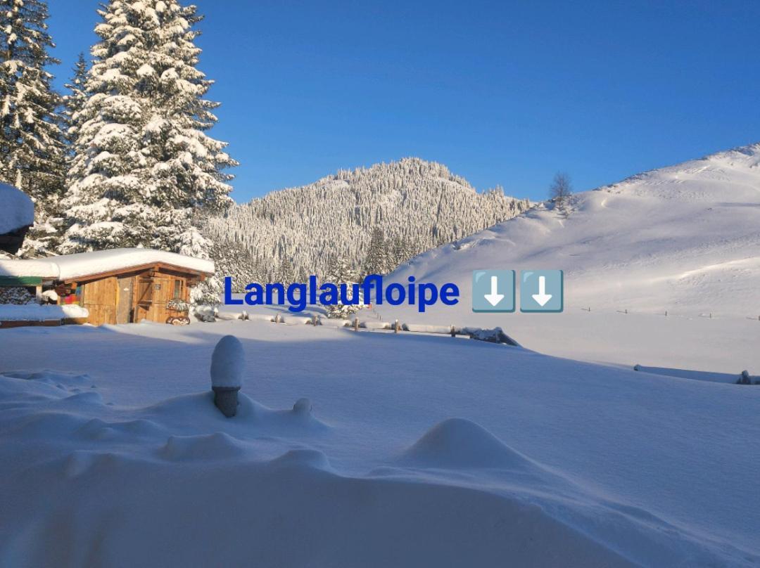 Haus Jessica Incl National Park Sommercard Mittersill Exteriör bild